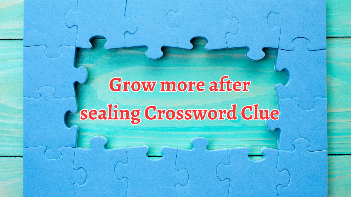 Grow more after sealing Crossword Clue Puzzle Answer from August 19, 2024