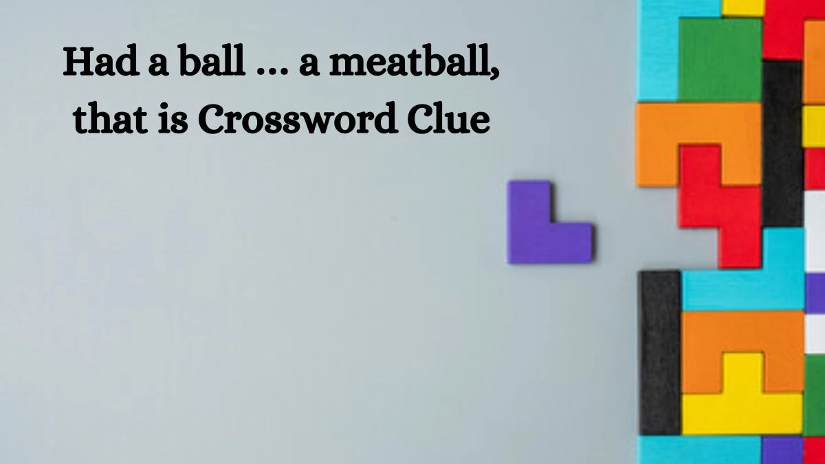 NYT Had a ball … a meatball, that is Crossword Clue Puzzle Answer from August 20, 2024