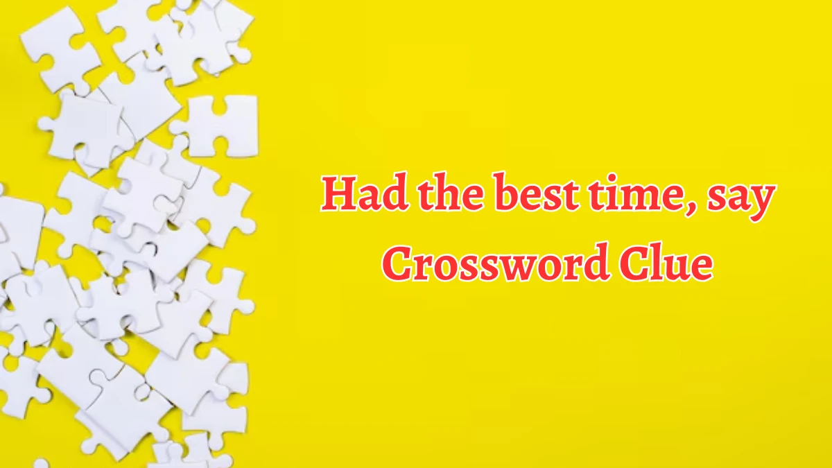 Had the best time, say NYT Crossword Clue Puzzle Answer on August 29, 2024