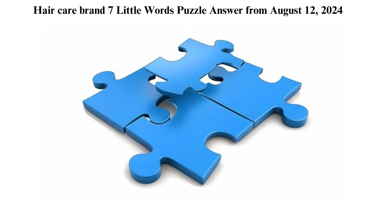 Hair care brand 7 Little Words Puzzle Answer from August 12, 2024