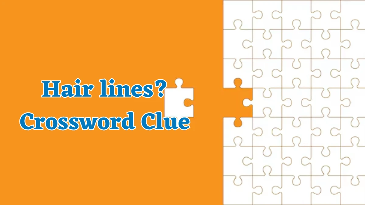 Universal Hair lines? Crossword Clue Puzzle Answer from August 05, 2024