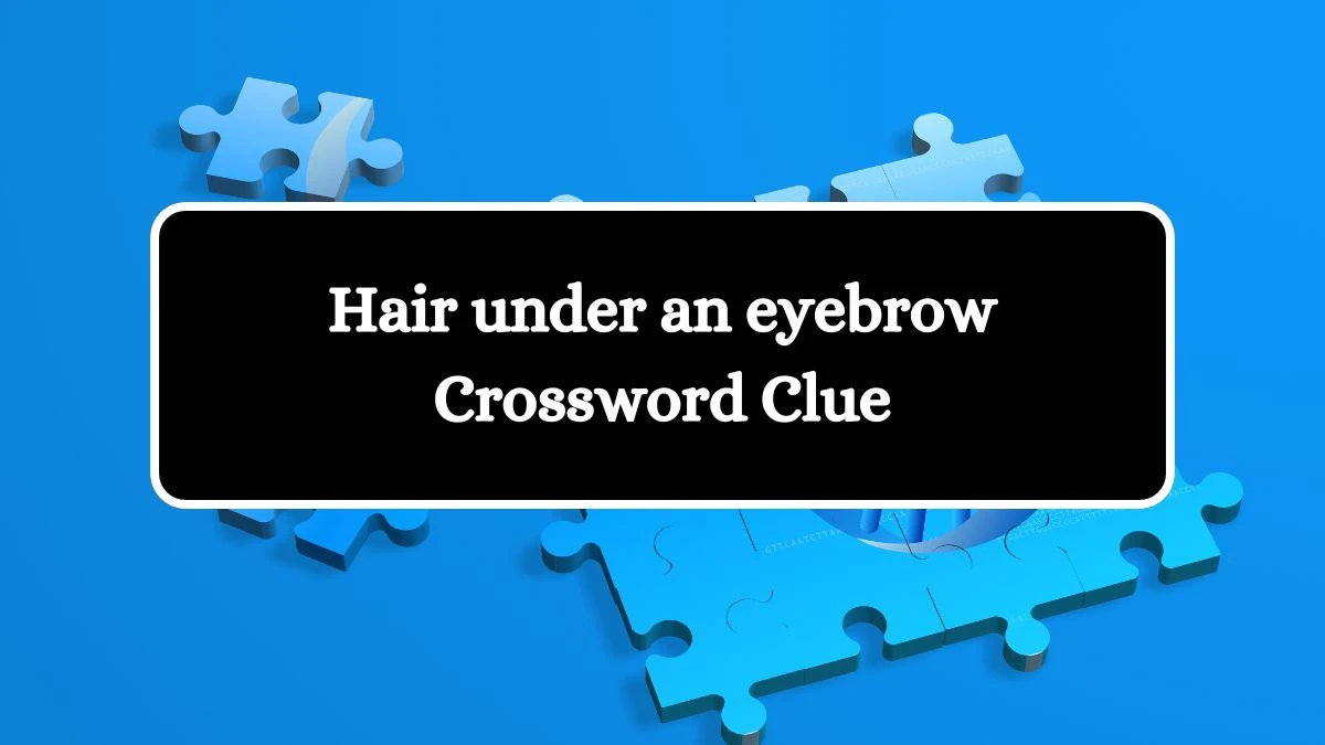 USA Today Hair under an eyebrow Crossword Clue Puzzle Answer from August 09, 2024