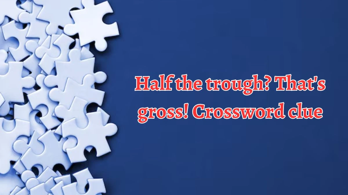 Half the trough? That's gross! Crossword Clue Puzzle Answer from August 20, 2024