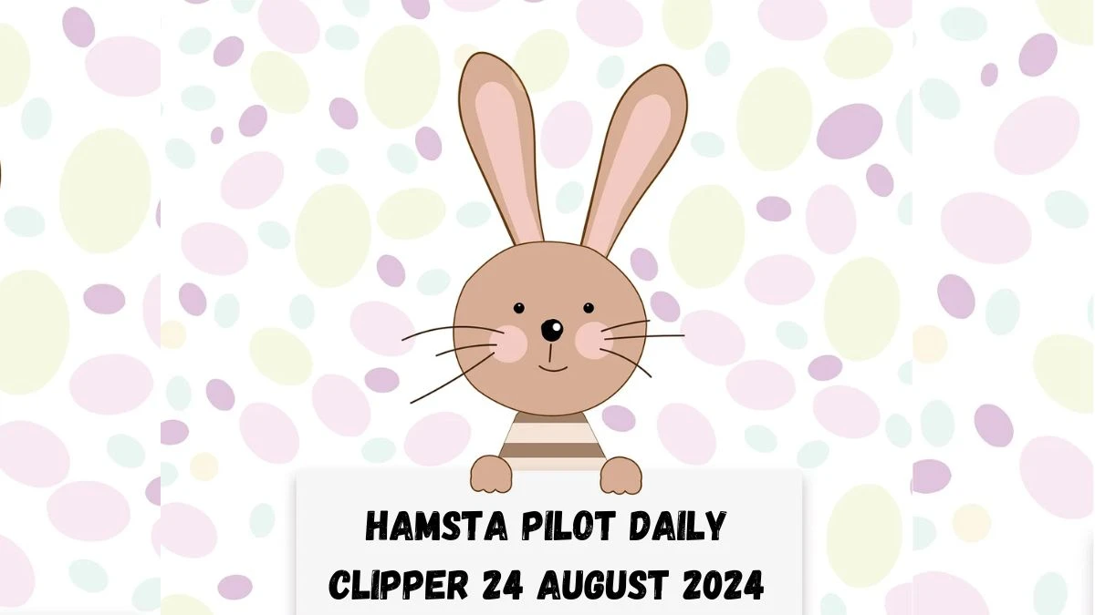 Hamsta Pilot Daily Clipper 24 August 2024