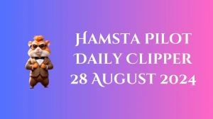 Hamsta Pilot Daily Clipper 28 August 2024