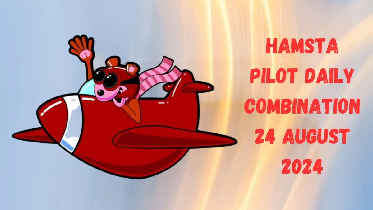 Hamsta Pilot Daily Combination 24 August 2024