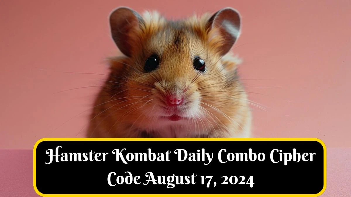 Hamster Kombat Daily Combo Cipher Code August 17, 2024