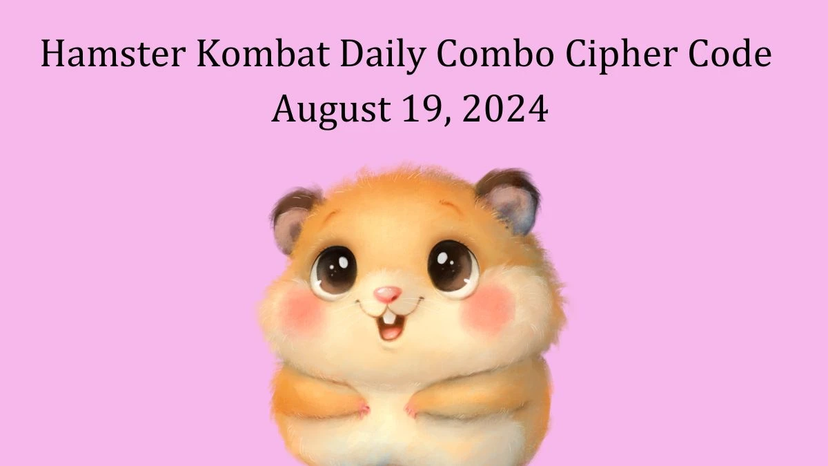 Hamster Kombat Daily Combo Cipher Code August 19, 2024