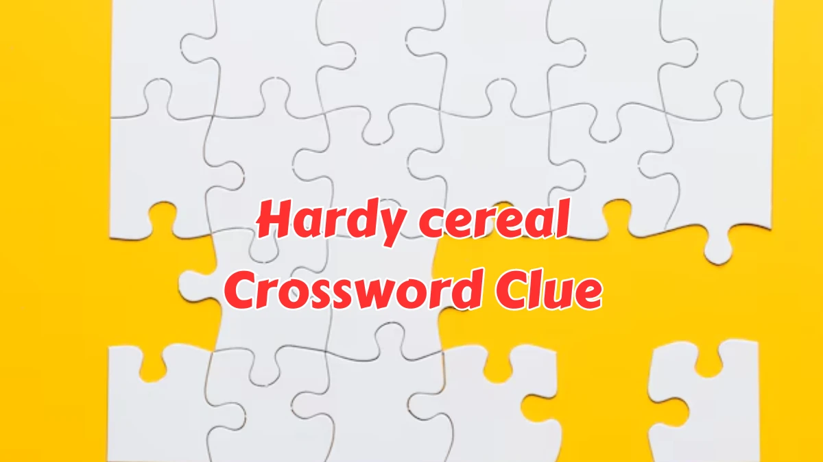 Hardy cereal Crossword Clue Puzzle Answer from August 08, 2024