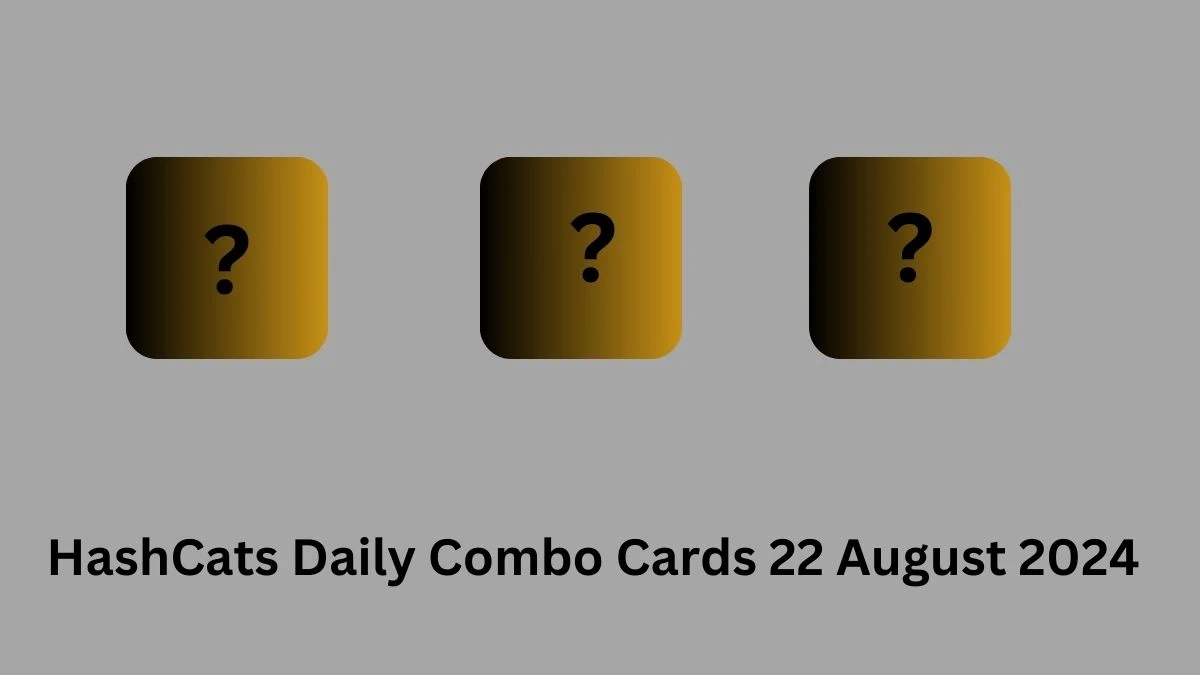 HashCats Daily Combo Cards 22 August 2024