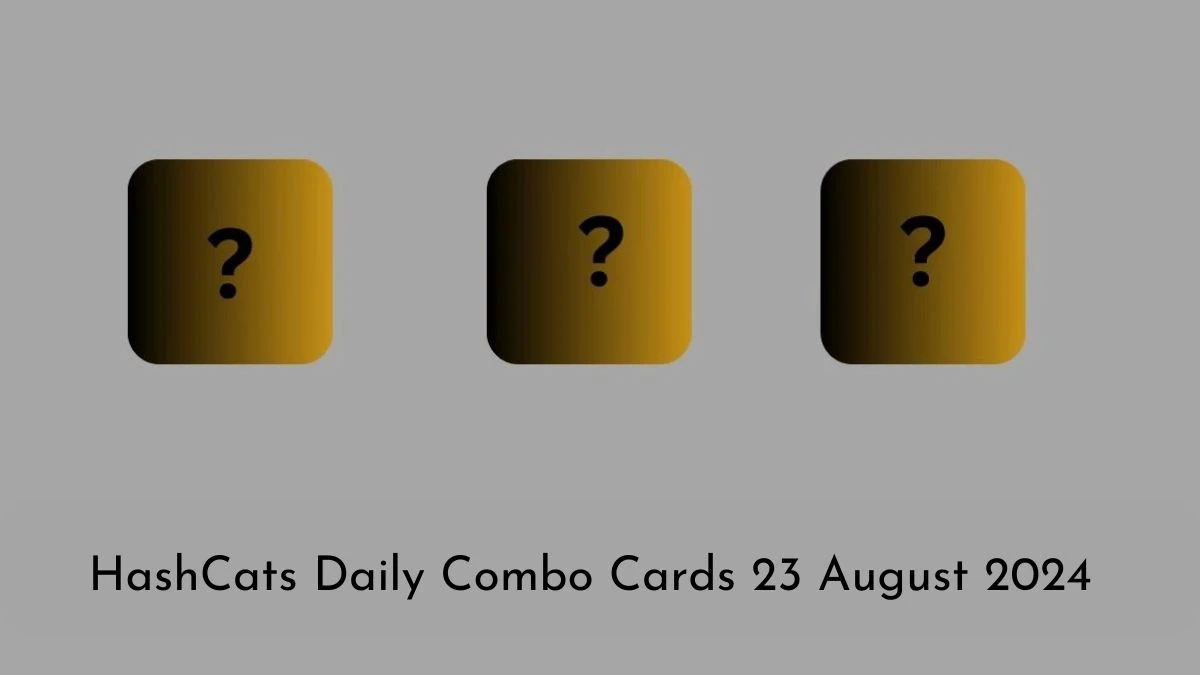 HashCats Daily Combo Cards 23 August 2024