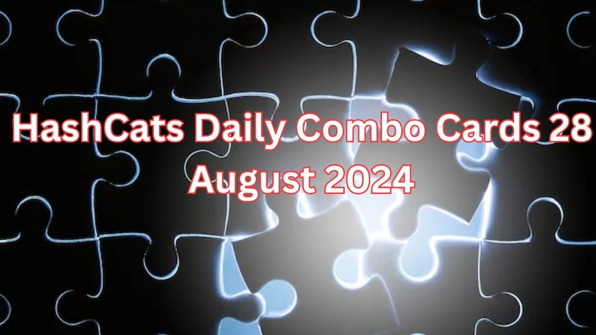 HashCats Daily Combo Cards 28 August 2024