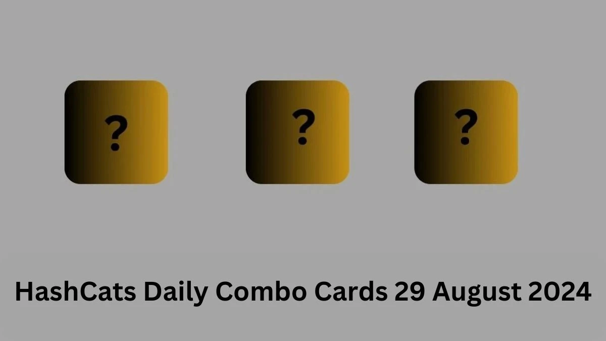 HashCats Daily Combo Cards 29 August 2024