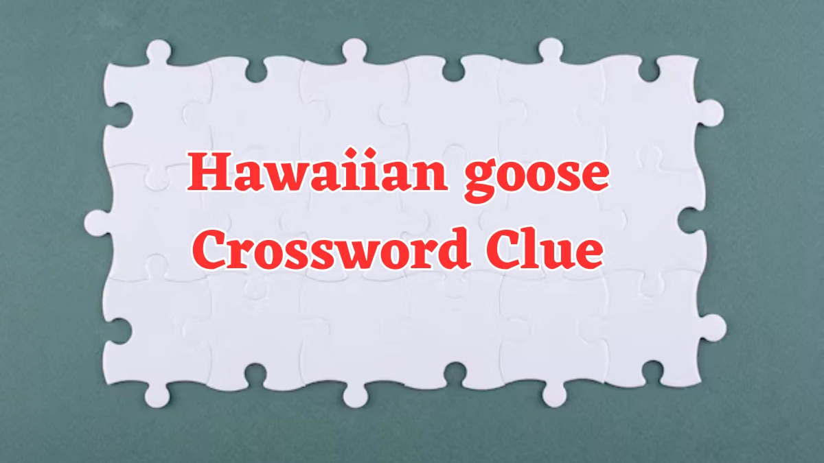 LA Times Hawaiian goose Crossword Clue Puzzle Answer from August 06, 2024