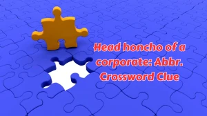 Head honcho of a corporate: Abbr. Daily Themed Crossword Clue Puzzle Answer from August 08, 2024