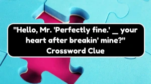 USA Today Hello, Mr. 'Perfectly fine.' _ your heart after breakin' mine? Crossword Clue Puzzle Answer from August 17, 2024