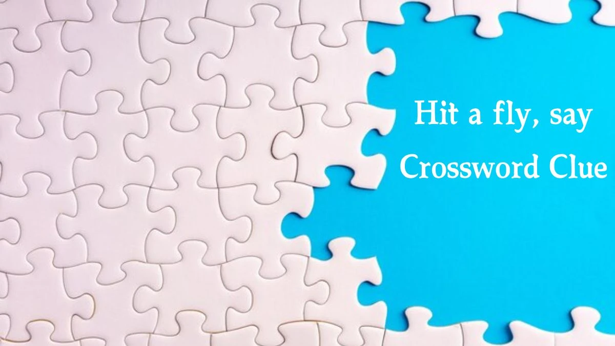 Hit a fly, say Daily Themed Crossword Clue Puzzle Answer from August 21, 2024