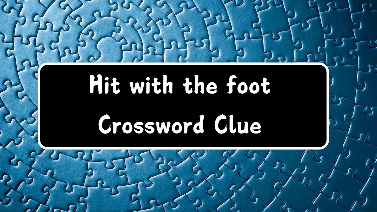 Hit with the foot Irish Daily Mail Quick Crossword Clue Puzzle Answer from August 14, 2024