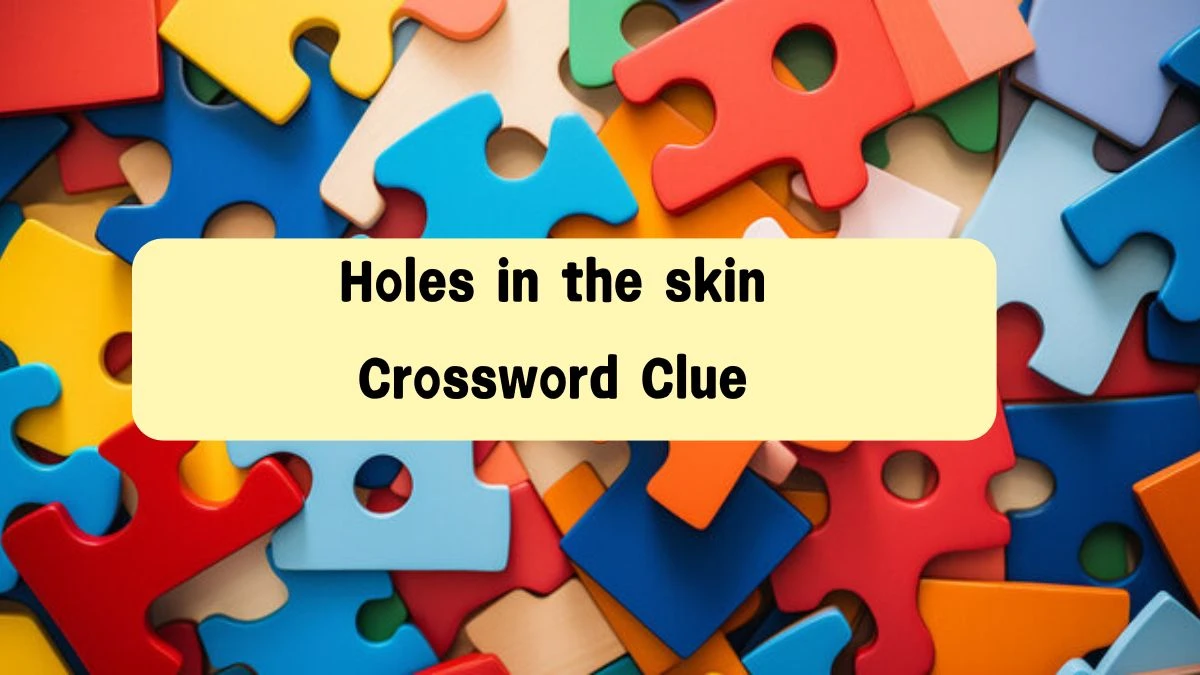 Holes in the skin Daily Commuter Crossword Clue Puzzle Answer from August 08, 2024