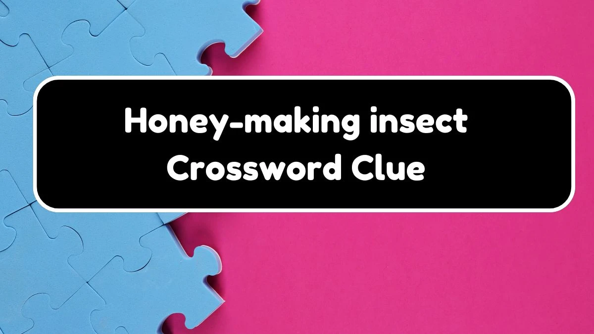 Irish Daily Mail Quick Honey-making insect 3 Letters Crossword Clue Puzzle Answers from August 18, 2024