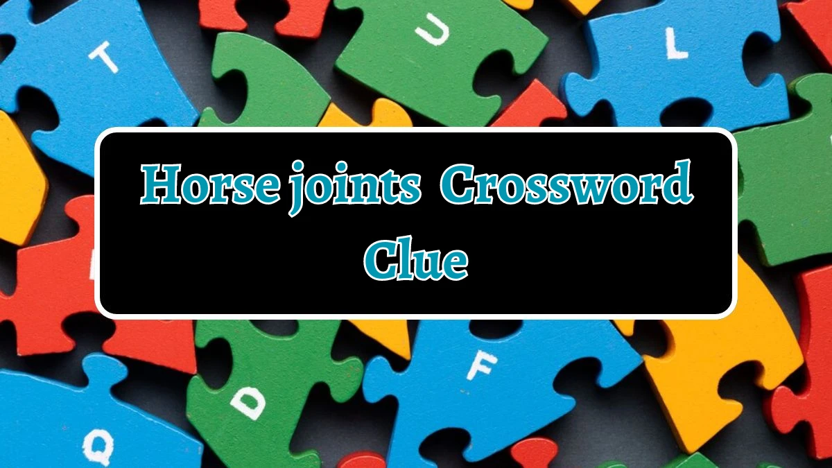 Horse joints Crossword Clue Puzzle Answer from August 13, 2024