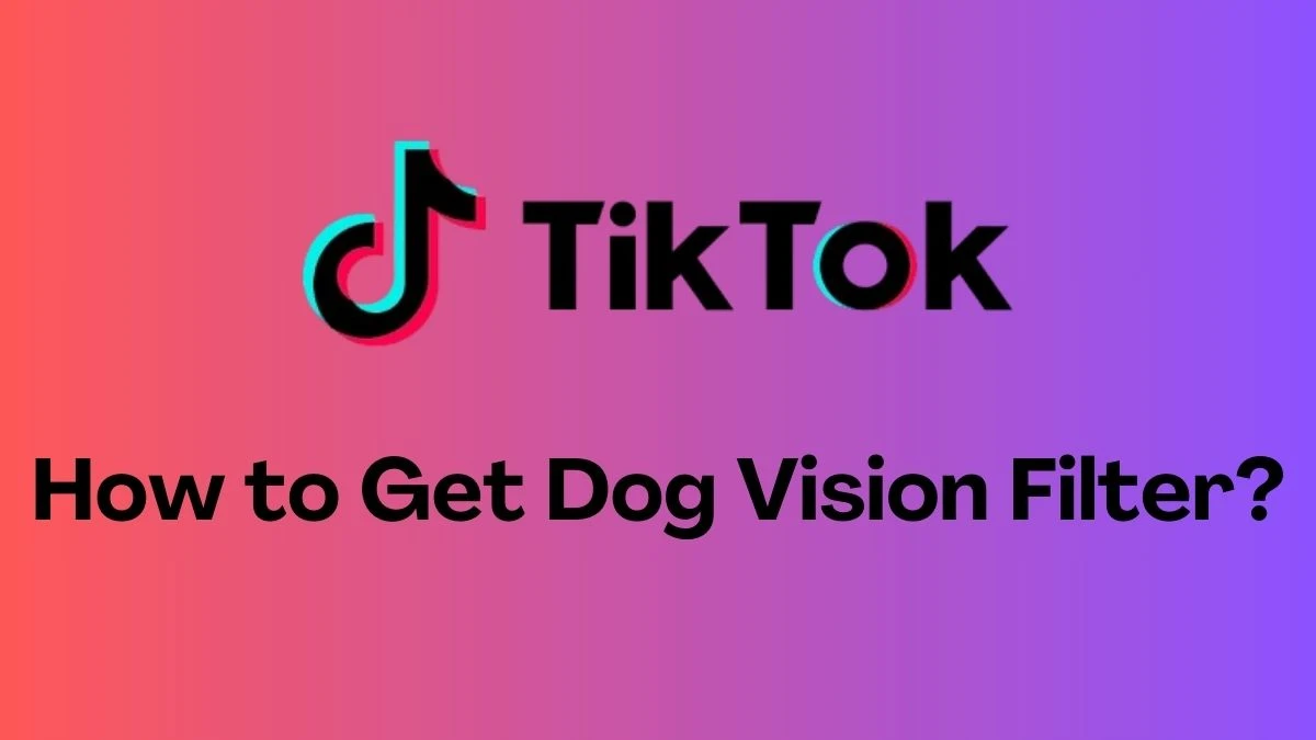 How to Get Dog Vision Filter on Tiktok?