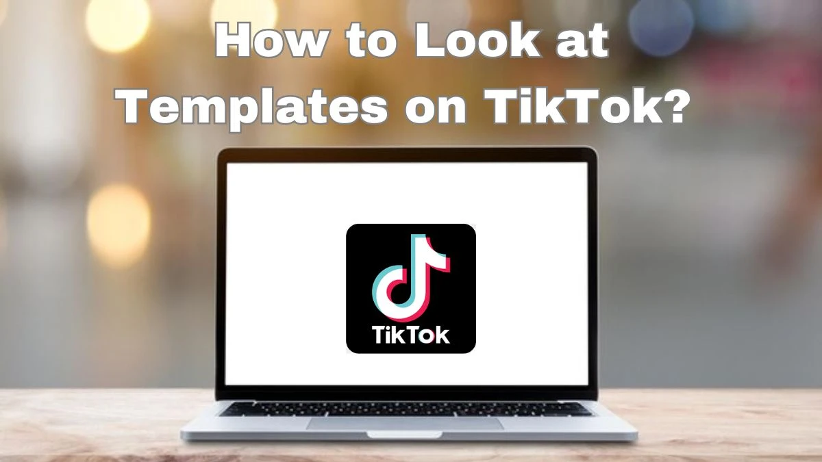 How to Look at Templates on TikTok? How to Use a TikTok Video Template? 