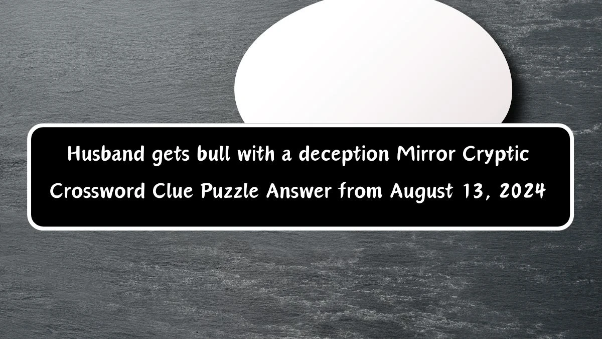 Husband gets bull with a deception Mirror Cryptic Crossword Clue Puzzle Answer from August 13, 2024