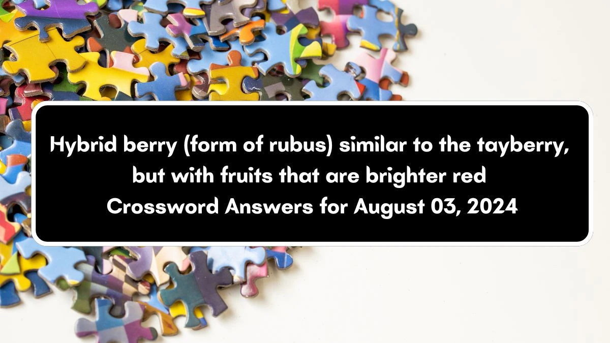 Hybrid berry (form of rubus) similar to the tayberry, but with fruits that are brighter red Crossword Clue Answers on August 03, 2024