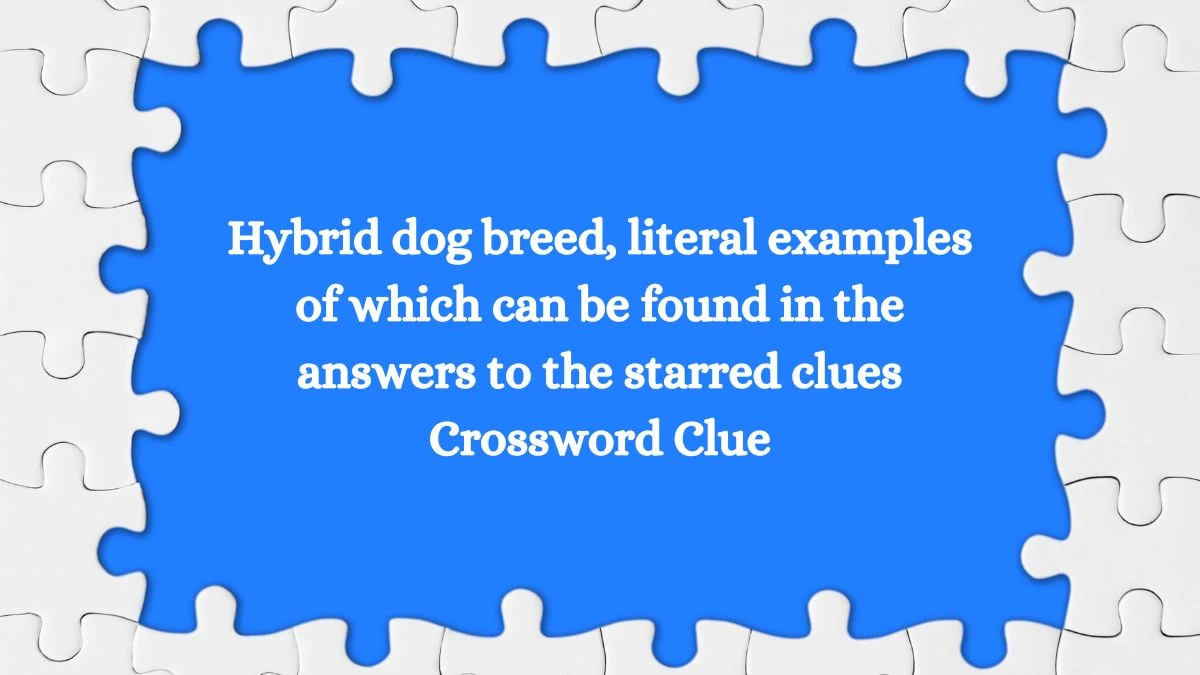 LA Times Hybrid dog breed, literal examples of which can be found in the answers to the starred clues Crossword Clue Puzzle Answer from August 21, 2024