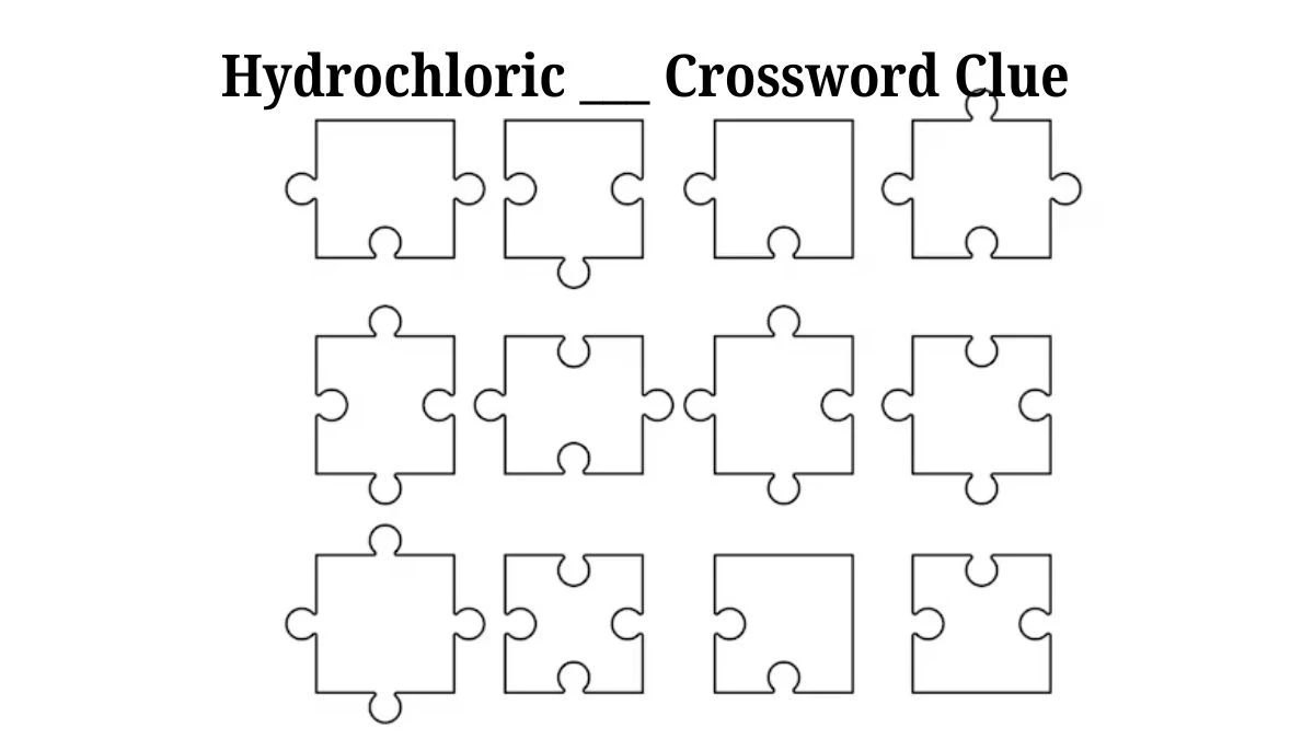 Hydrochloric ___ Daily Themed Crossword Clue Puzzle Answer from August 05, 2024