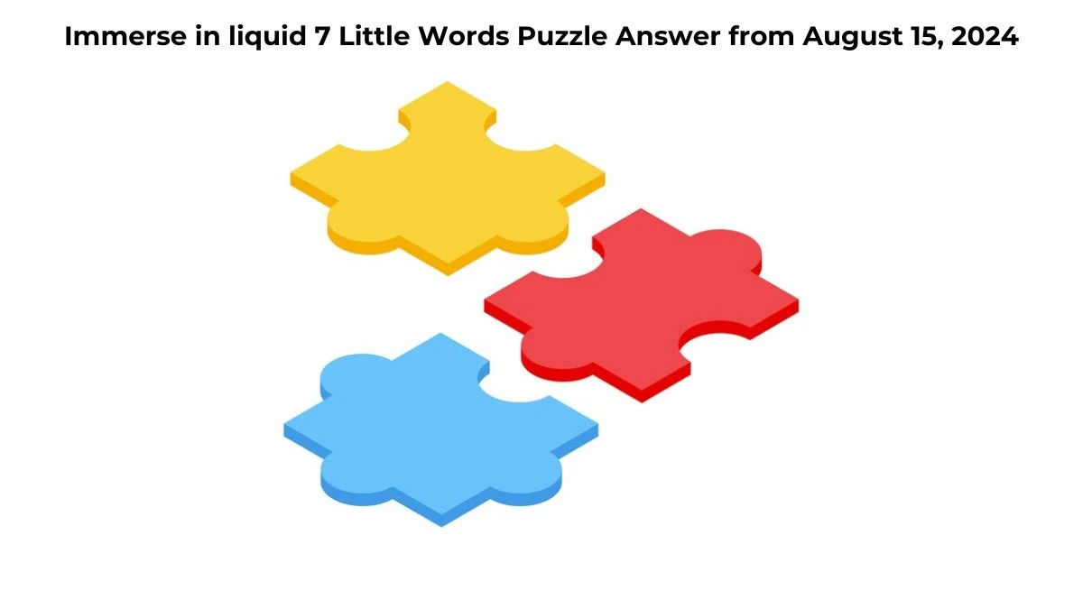 Immerse in liquid 7 Little Words Puzzle Answer from August 15, 2024