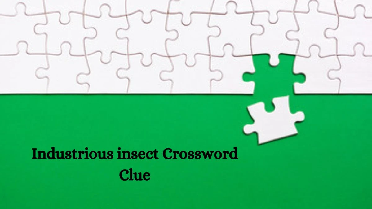 LA Times Industrious insect Crossword Puzzle Answer from August 08, 2024