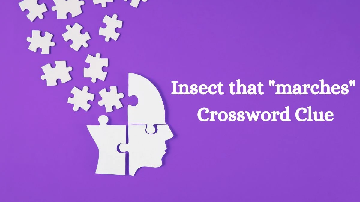 USA Today Insect that marches Crossword Clue Puzzle Answer from August 12, 2024