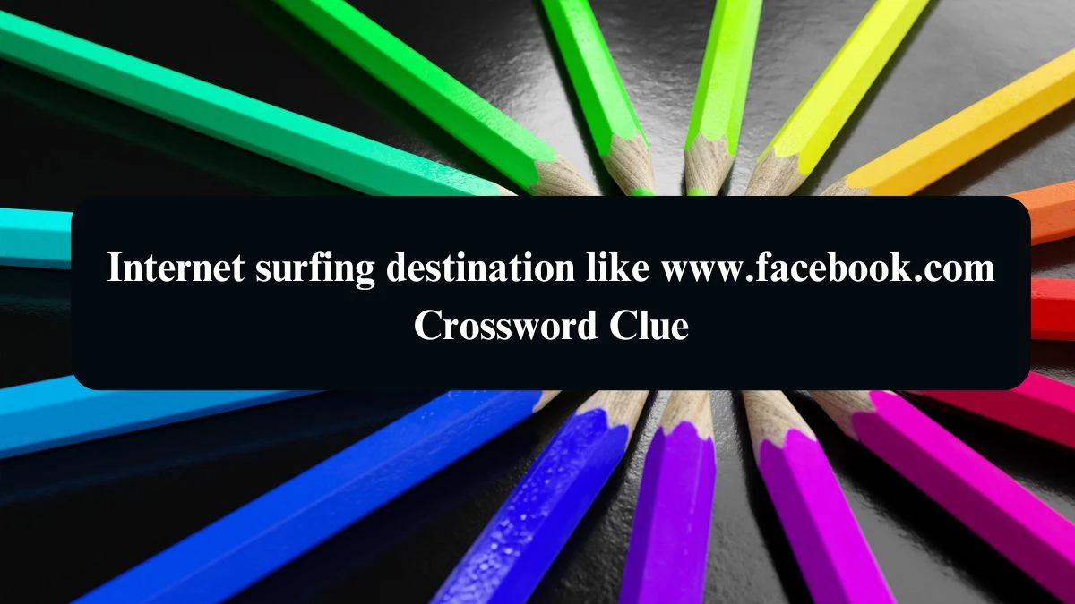 Internet surfing destination like www.facebook.com Daily Themed Crossword Clue Puzzle Answer from August 21, 2024