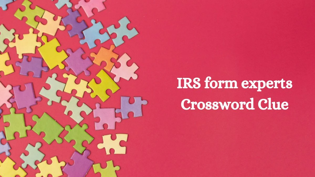 LA Times IRS form experts Crossword Clue Puzzle Answer from August 05, 2024