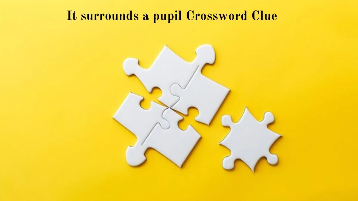 Universal It surrounds a pupil Crossword Clue Puzzle Answer from August 05, 2024