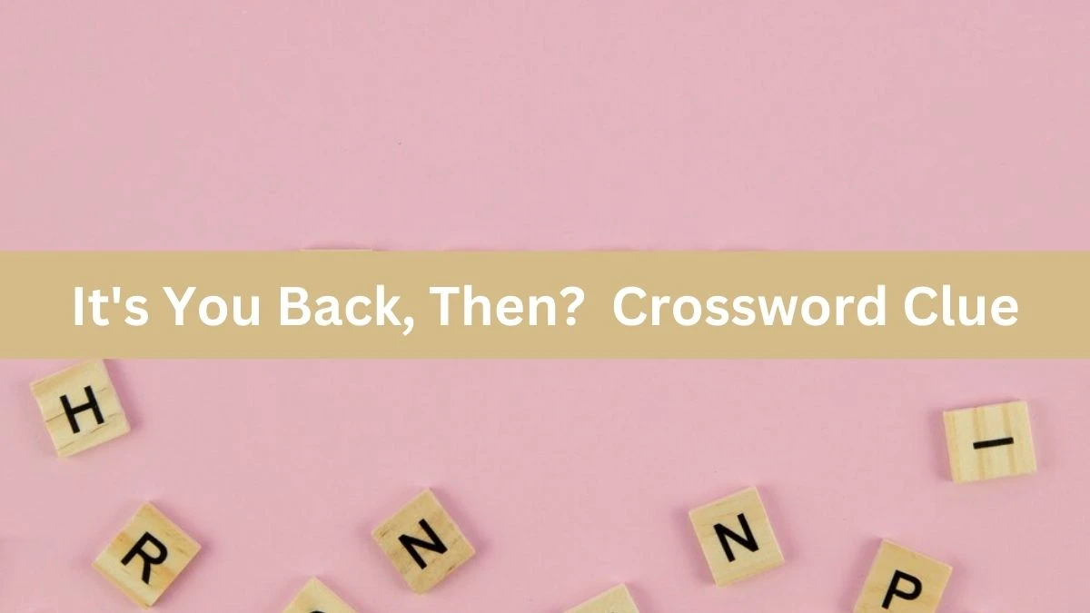 It's You Back, Then? Crossword Clue Puzzle Answer from August 20, 2024