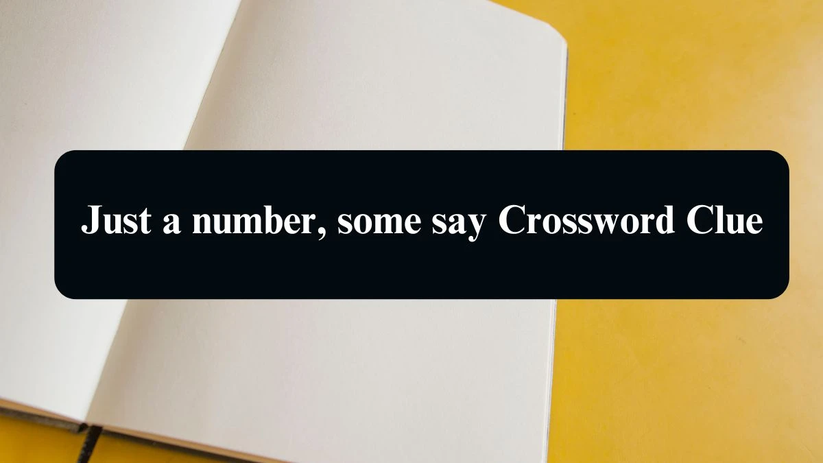 LA Times Just a number, some say Crossword Clue Puzzle Answer from August 19, 2024