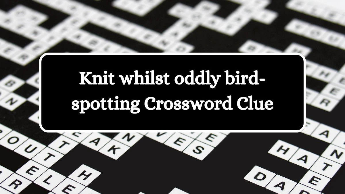 Knit whilst oddly bird-spotting Crossword Clue Puzzle Answer from August 14, 2024