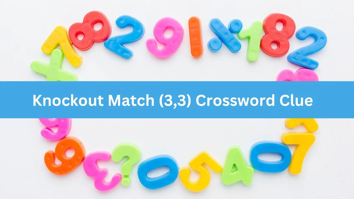 Knockout Match (3,3) Crossword Clue Puzzle Answer from August 03, 2024