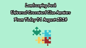 Landscaping bush Universal Crossword Clue Puzzle Answer from August 01, 2024