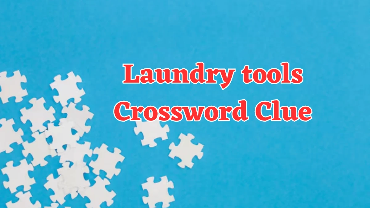 Laundry tools Crossword Clue Puzzle Answer from August 02, 2024