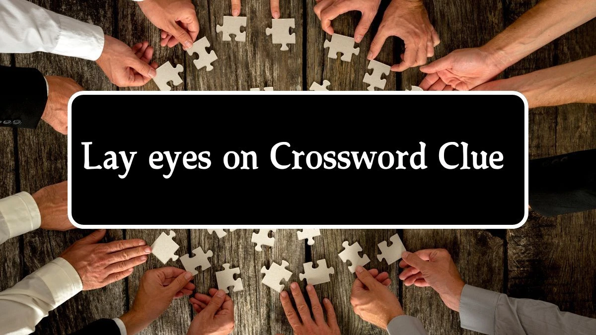 Lay eyes on Daily Themed Crossword Clue Puzzle Answer from August 22, 2024