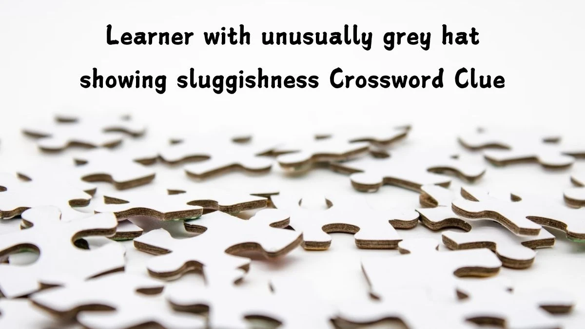 Learner with unusually grey hat showing sluggishness Crossword Clue Puzzle Answer from August 07, 2024