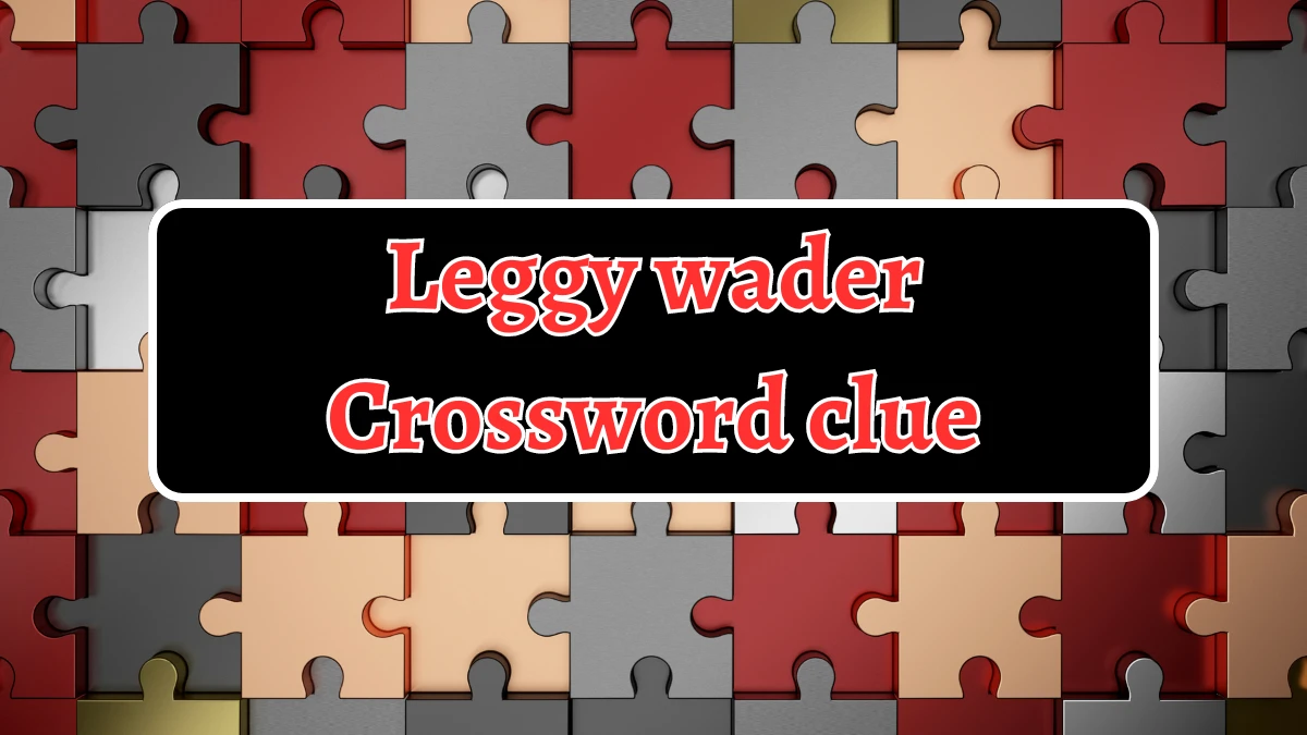 LA Times Leggy wader Crossword Clue Answers with 5 Letters from August 20, 2024