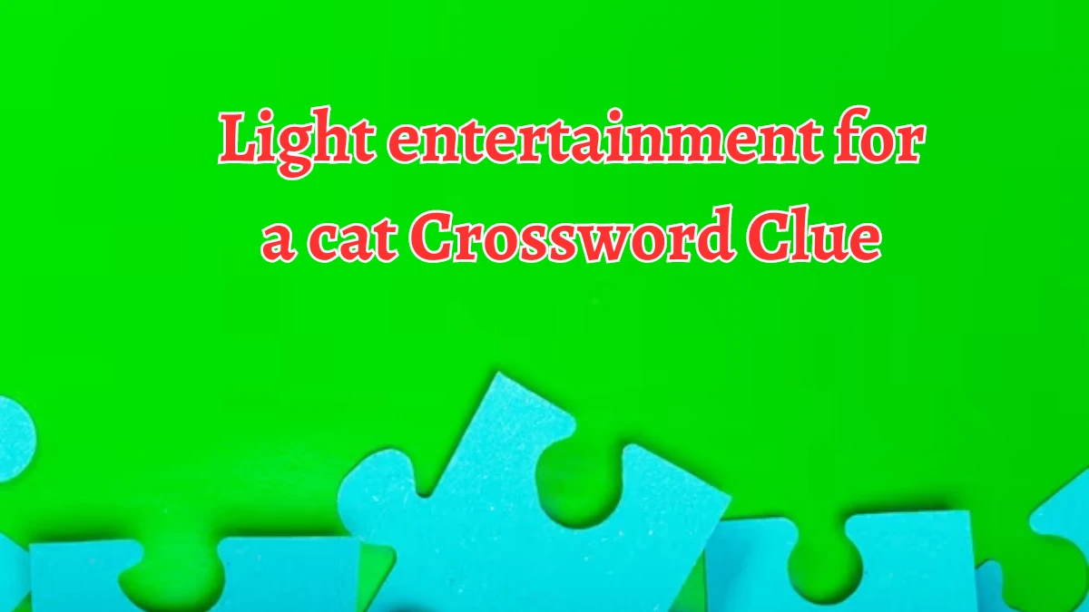 USA Today Light entertainment for a cat Crossword Clue Puzzle Answer from August 21, 2024