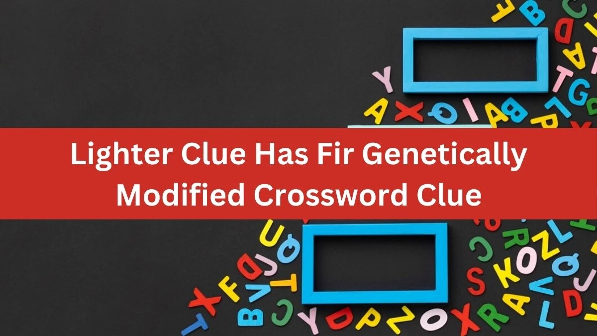 Lighter Clue Has Fir Genetically Modified Crossword Clue Puzzle Answer from August 15, 2024