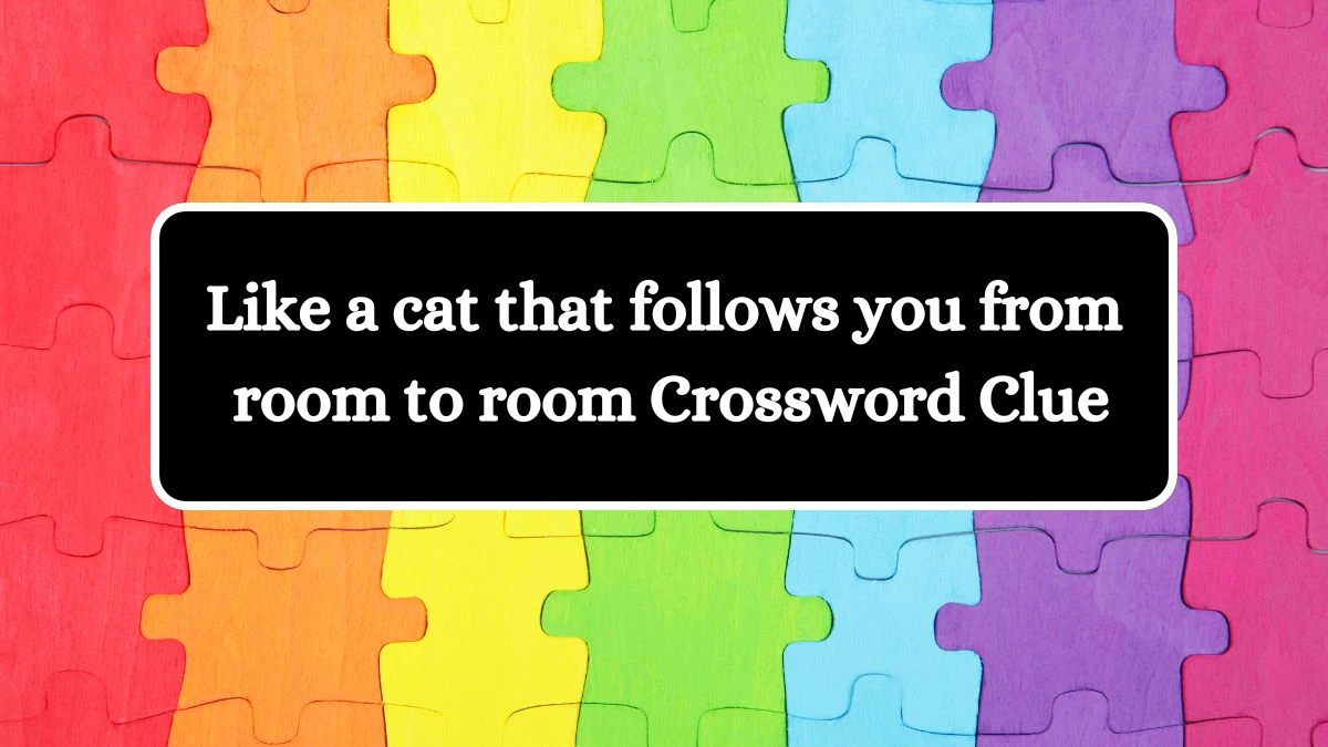 USA Today Like a cat that follows you from room to room Crossword Clue Puzzle Answer from August 06, 2024