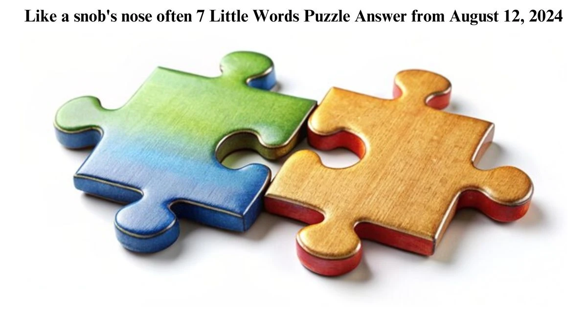 Like a snob's nose often 7 Little Words Puzzle Answer from August 12, 2024